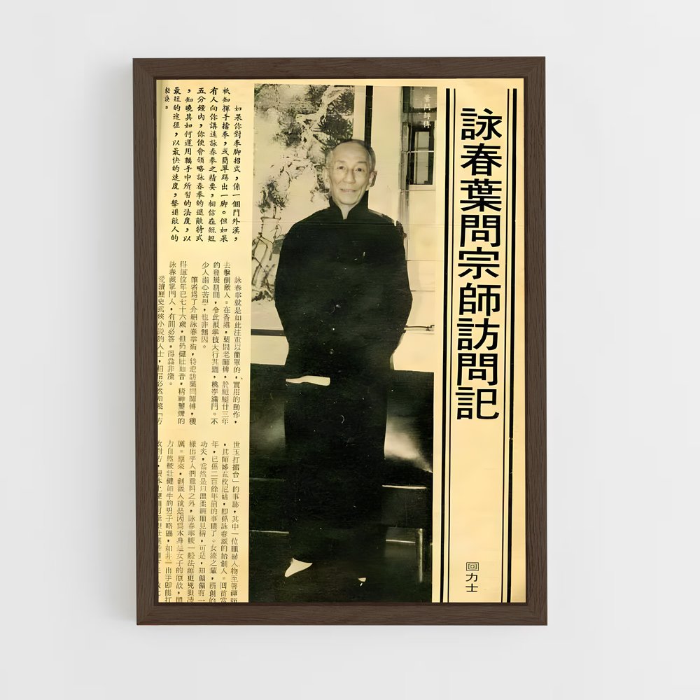Poster William de cheung – affiche Wing Chun (vue 5)